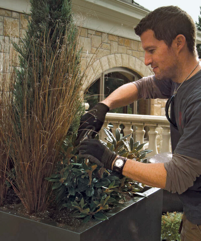 trimming plants in a container