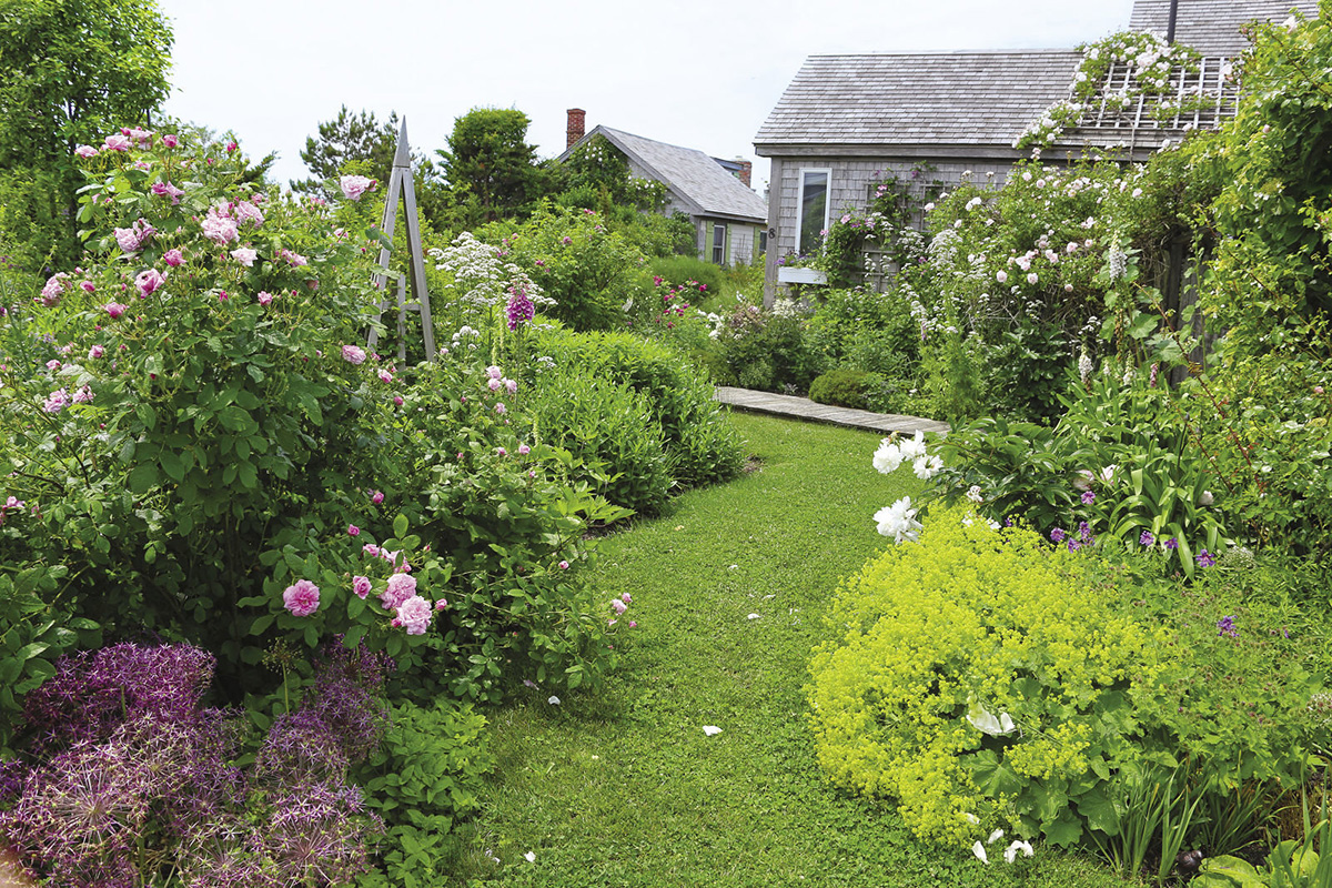 cottage garden