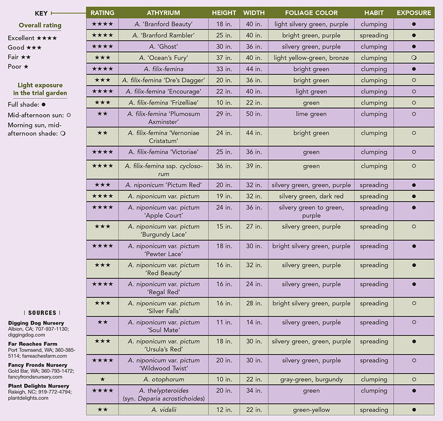 lady and paint ferns trial results chart