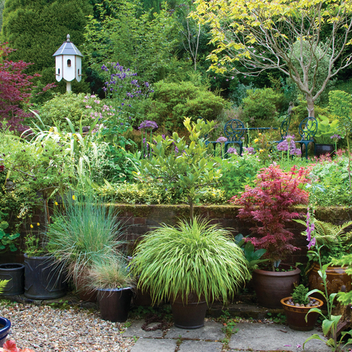 several container plantings in a garden