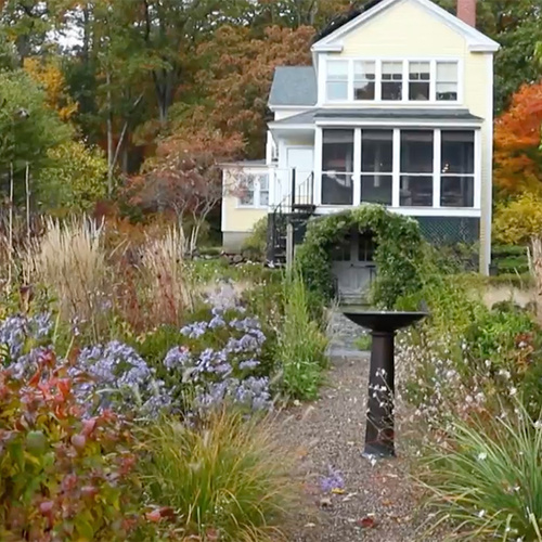 fall garden combinations