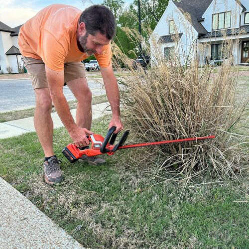 using hedge shears on ornamental grass