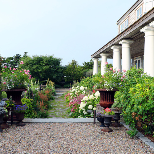 beautiful and tough garden Nantucket