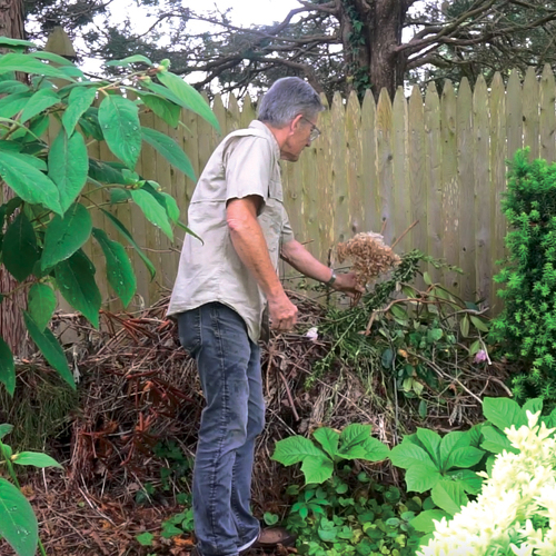 Compost in place