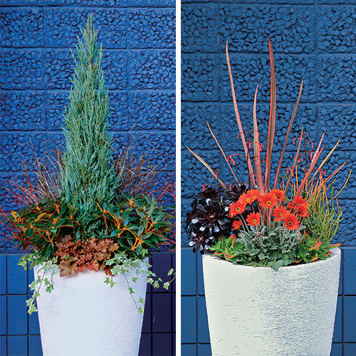 seasonal containers