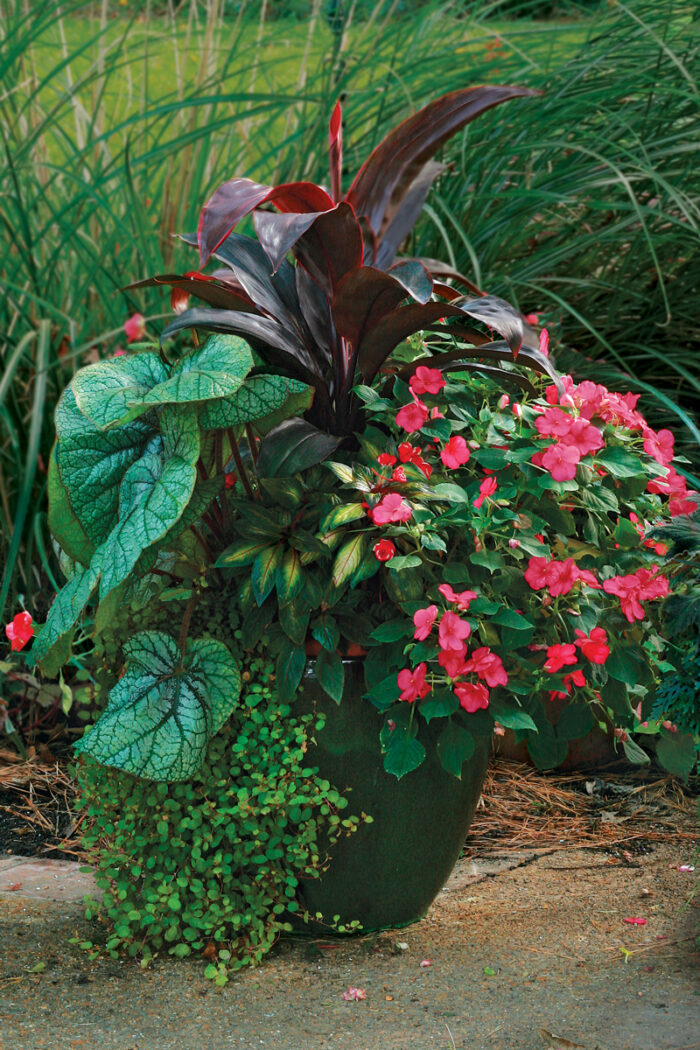 summer container with pink flowers