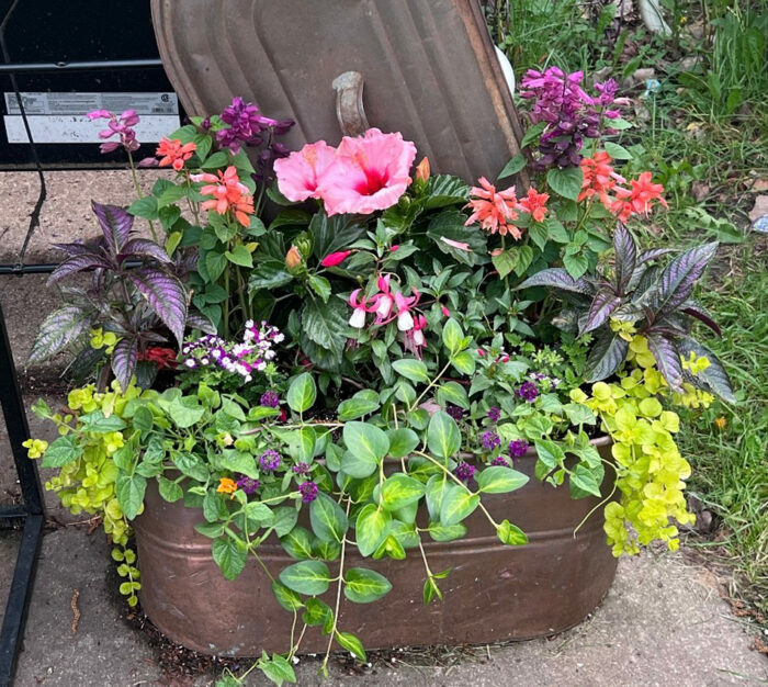 close up of colorful container planting