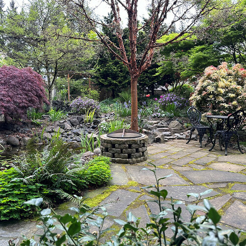 stone garden patio and pond surrounded by plants and