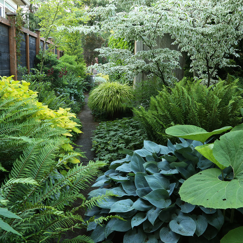 garden oasis