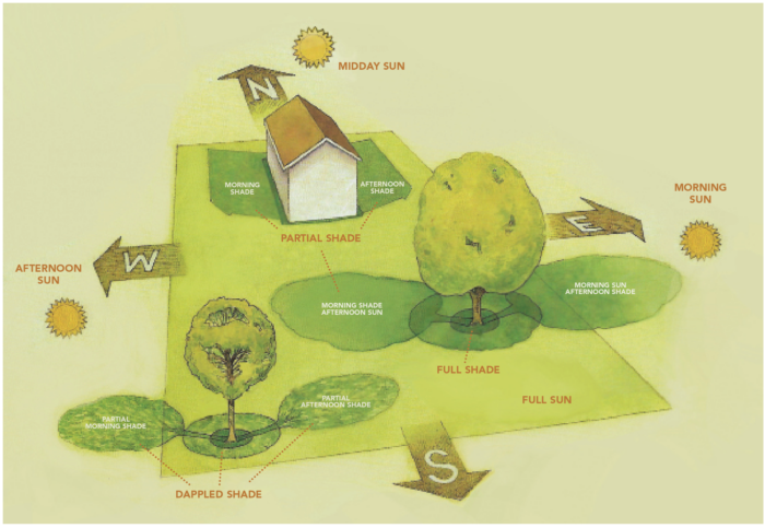 how to tell if your garden gets shade or sun